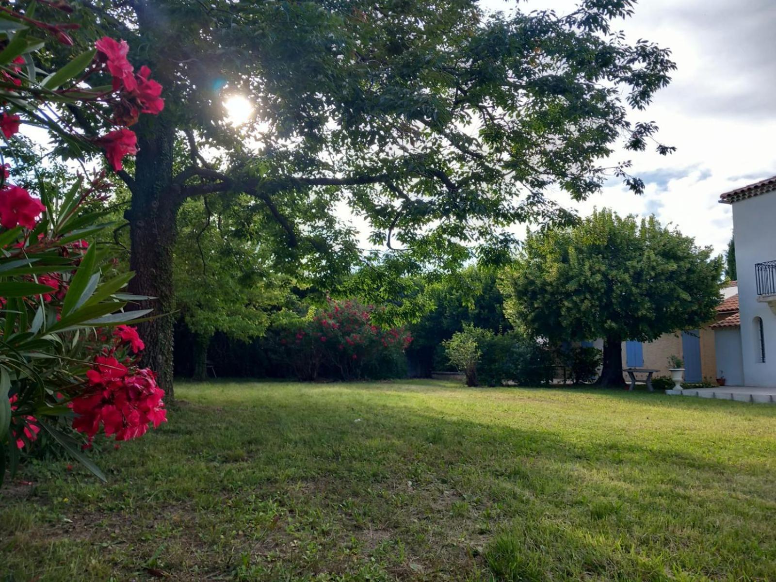 Le Petit Mas Des Alpilles En Provence Villa Saint-Étienne-du-Grès Buitenkant foto